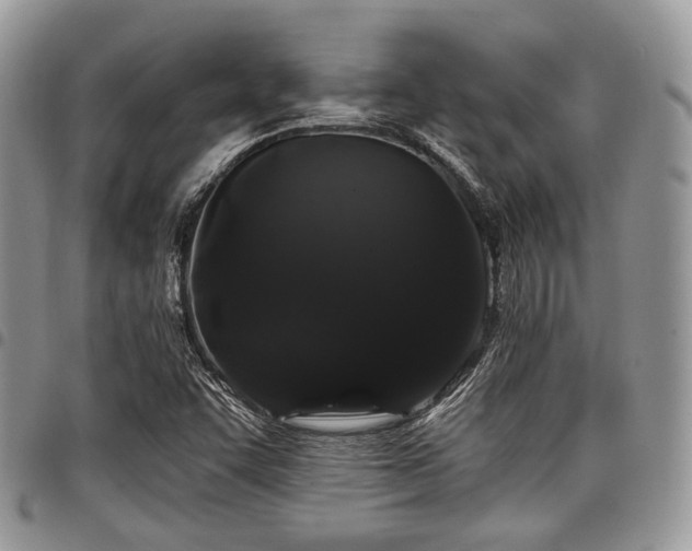 X0000098011455200803281301