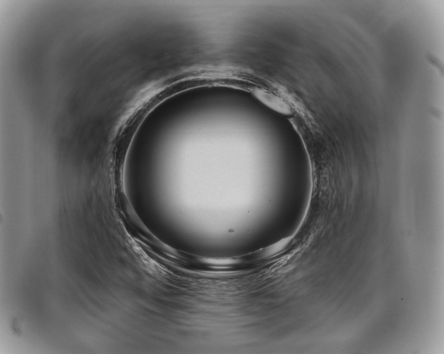 X0000098011456200803281301