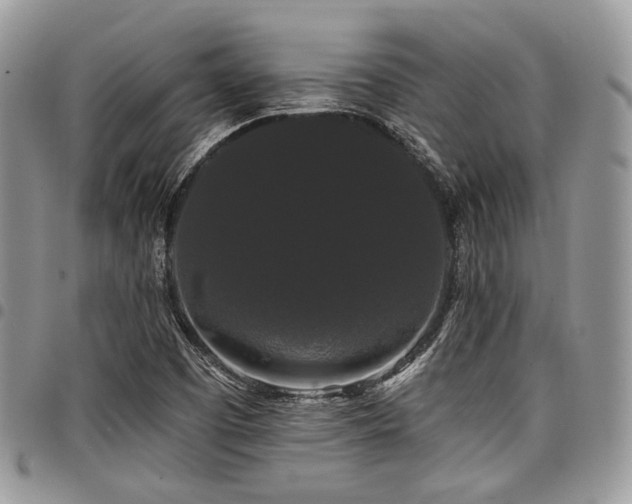 X0000098011457200803281301