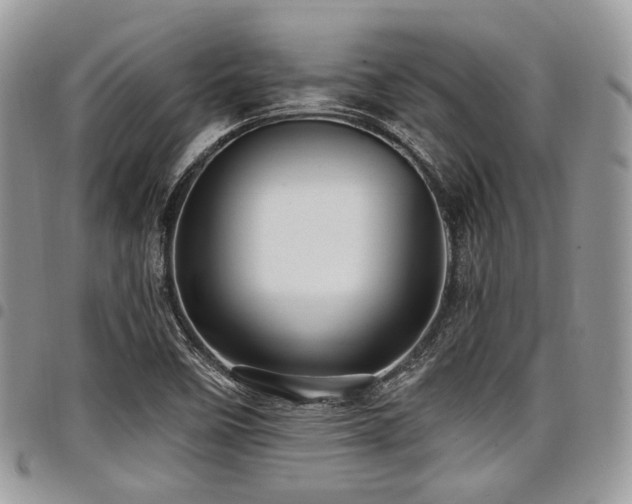 X0000098011458200803281301