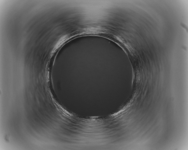 X0000098011459200803281301