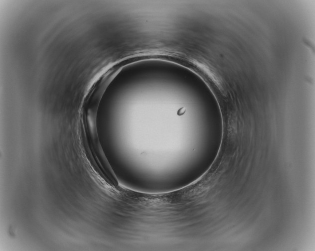 X0000098011460200803281301