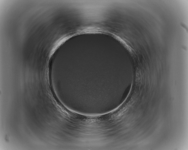 X0000098011461200803281301