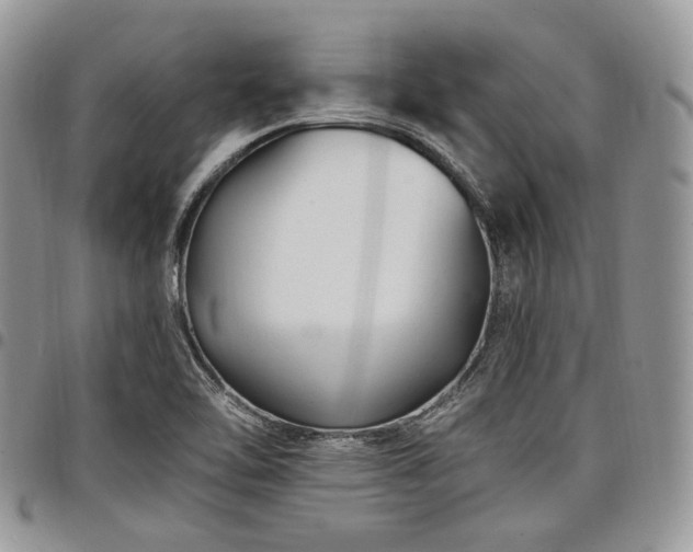 X0000098011462200803281301