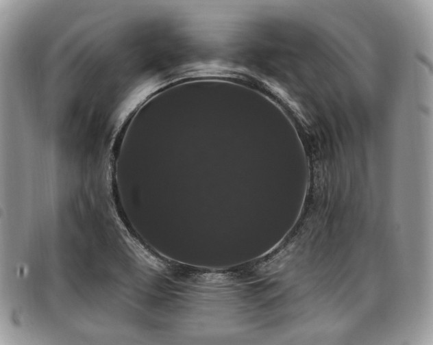 X0000098011463200803281301