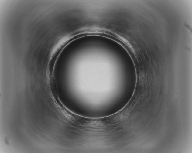 X0000098011464200803281301