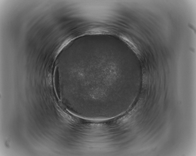 X0000098011465200803281301