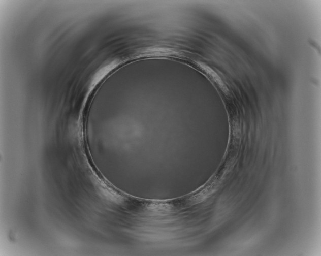 X0000098011466200803281301