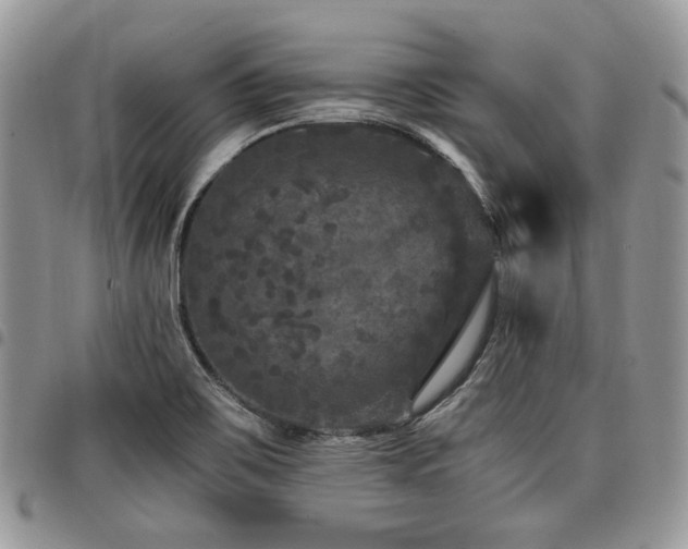 X0000098011467200803281301