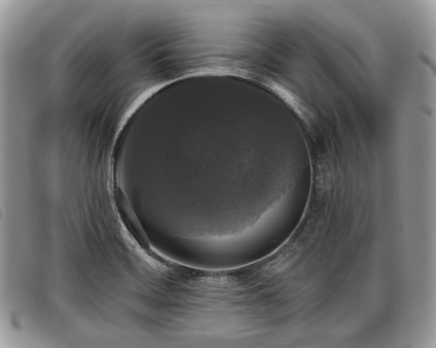 X0000098011468200803281301