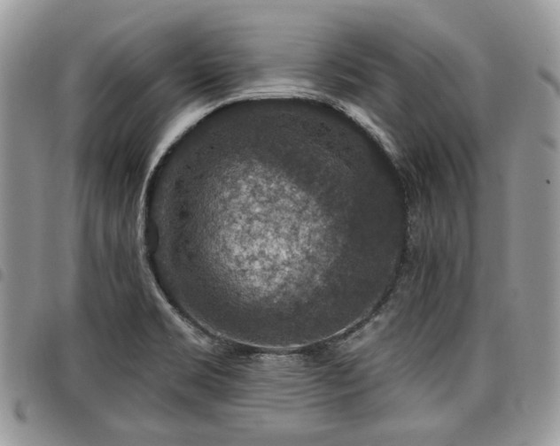 X0000098011469200803281301