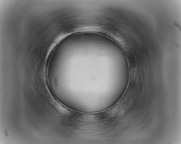 X0000098011470200803281301