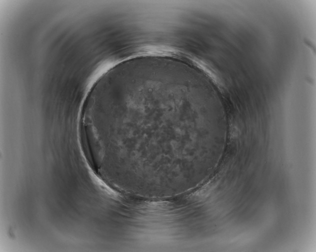 X0000098011471200803281301