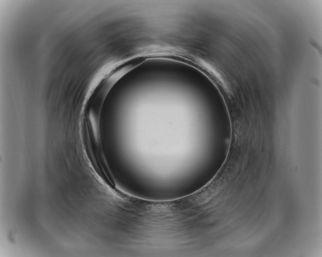 X0000098011472200803281301