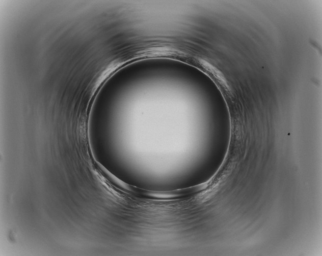 X0000098011473200803281301