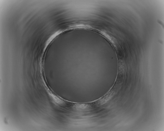 X0000098011474200803281301