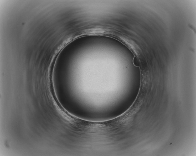 X0000098011475200803281301