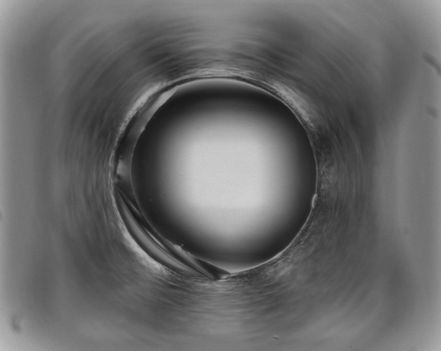 X0000098011476200803281301