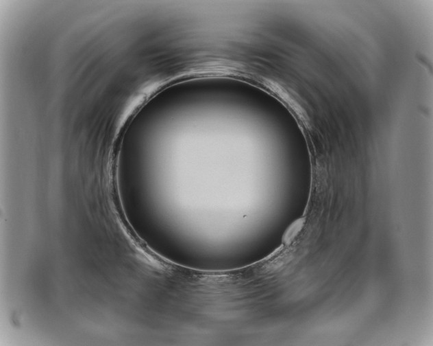 X0000098011477200803281301