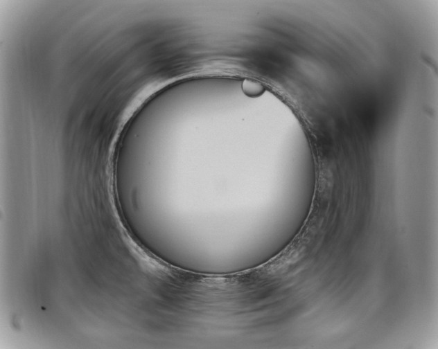 X0000098011478200803281301