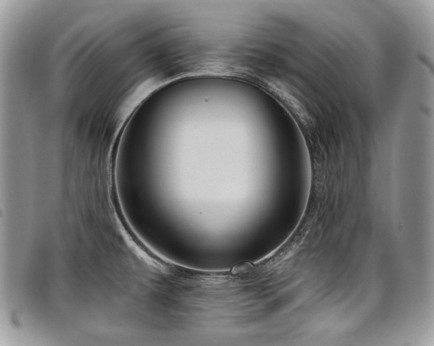 X0000098011479200803281301