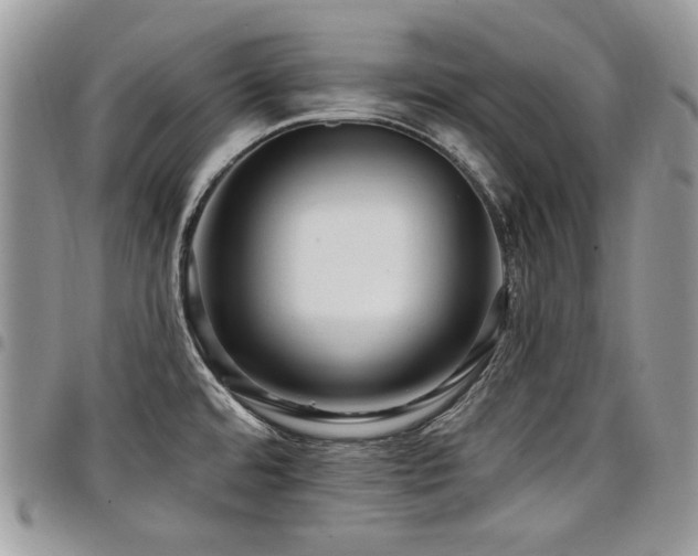 X0000098011480200803281301