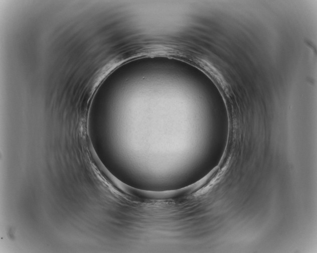 X0000098011481200803281301