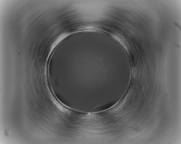 X0000098011482200803281301