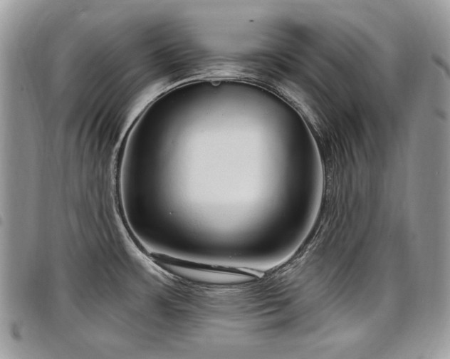 X0000098011483200803281301