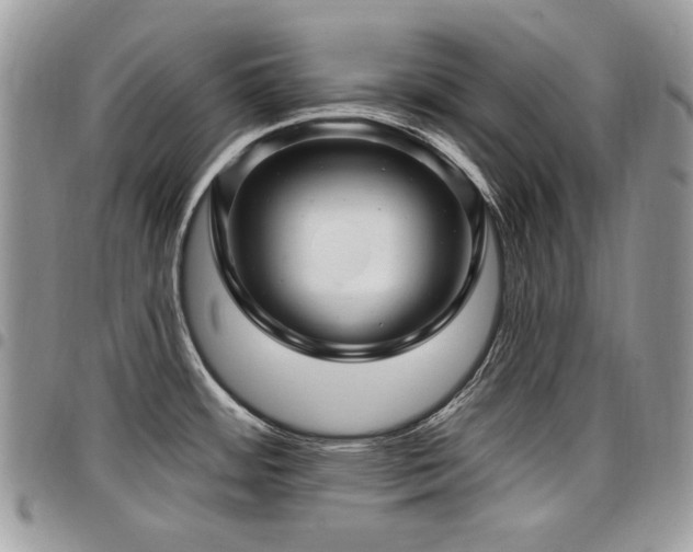 X0000098011484200803281301