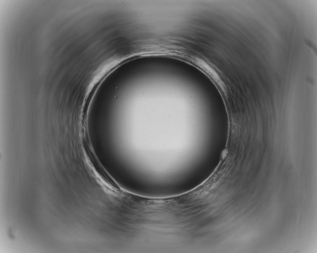 X0000098011485200803281301