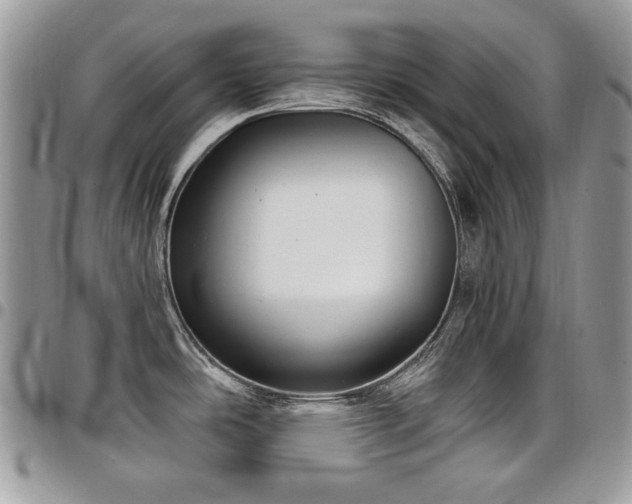 X0000098011486200803281301