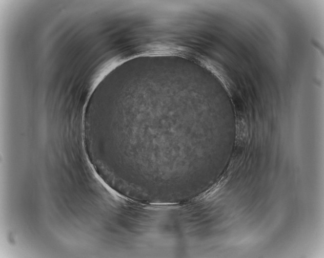 X0000098011487200803281301