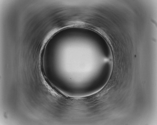 X0000098011488200803281301