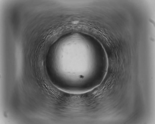 X0000098011489200803281300