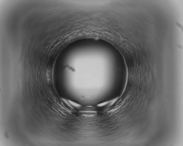 X0000098011490200803281300