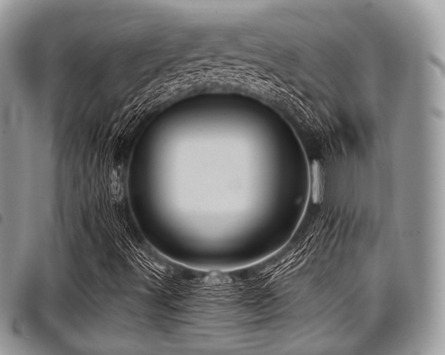 X0000098011491200803281300