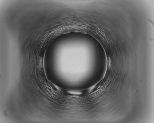 X0000098011492200803281300