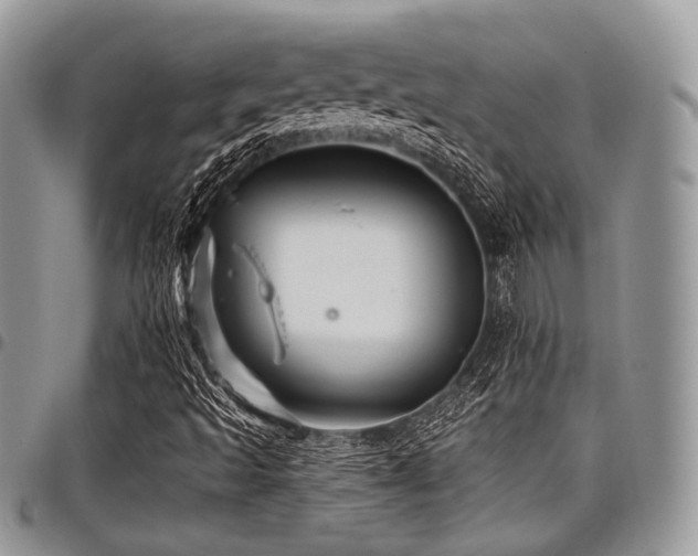 X0000098011493200803281300