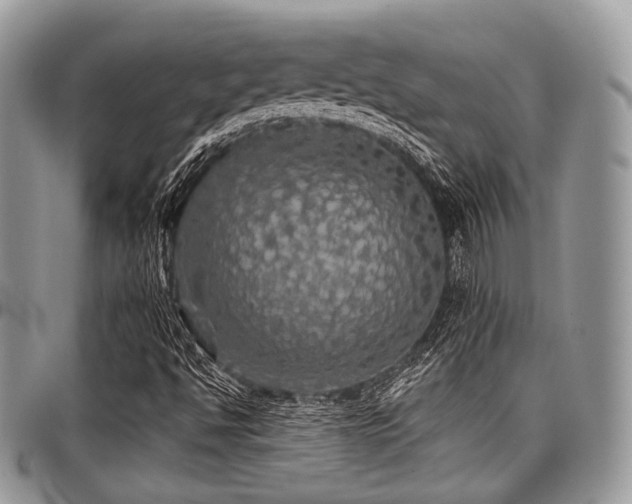 X0000098011494200803281300