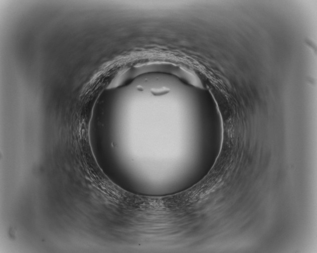 X0000098011495200803281300