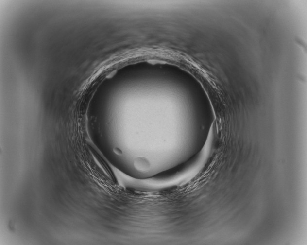 X0000098011496200803281300