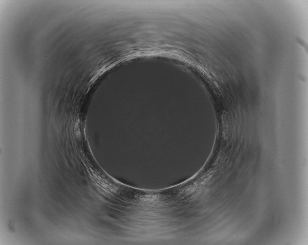 X0000098011497200803281300