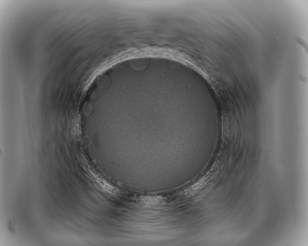 X0000098011498200803281300