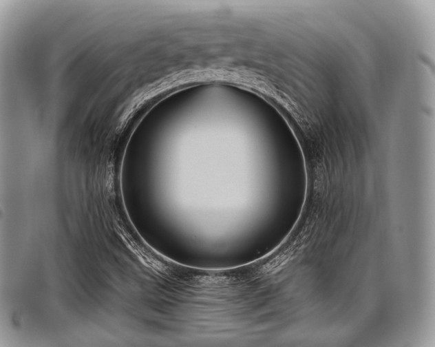 X0000098011499200803281300