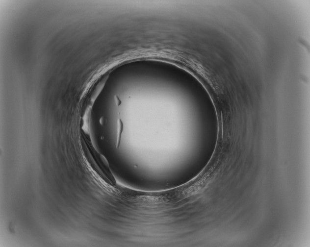 X0000098011500200803281300