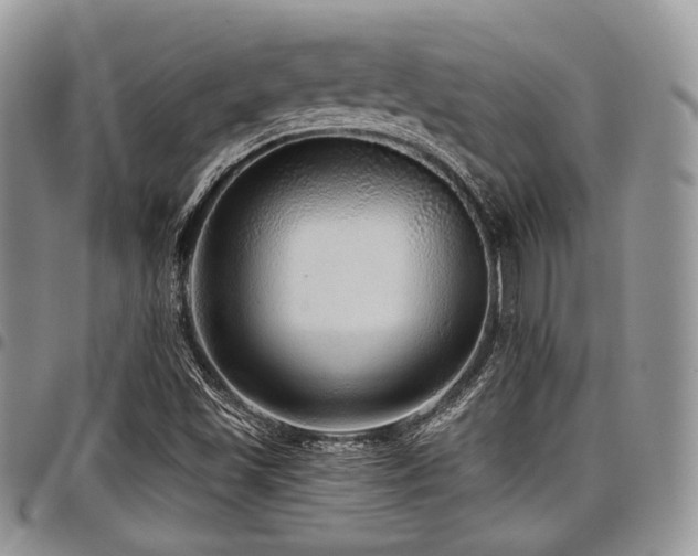 X0000098011501200803281300