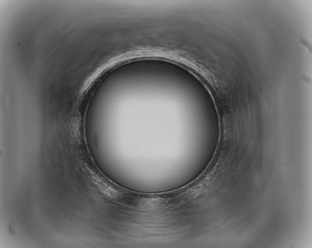 X0000098011502200803281300