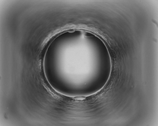 X0000098011503200803281300