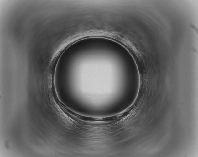 X0000098011504200803281301